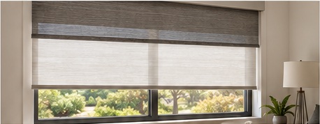 Dual day night roller shades