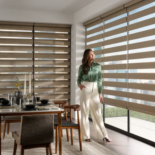 Luxview Window Fashions